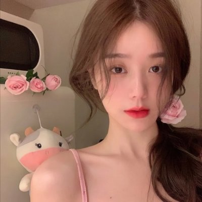 小鸟总动员